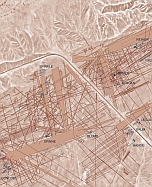 Orthophotomosaik mit Vektordatenauswertung